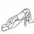 Decline Crunches