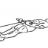 Lying Bicep Cable Curl