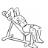 Incline Triceps Extensions