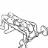 Decline EZ Bar Triceps Extension