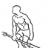 One Arm Snatch