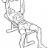 Dumbbell Bench Press