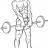 Barbell Shrugs