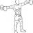 Dumbbell Lateral Raises